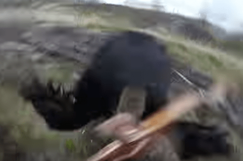 Screen Shot 2017-05-26 at 1.52.58 PM