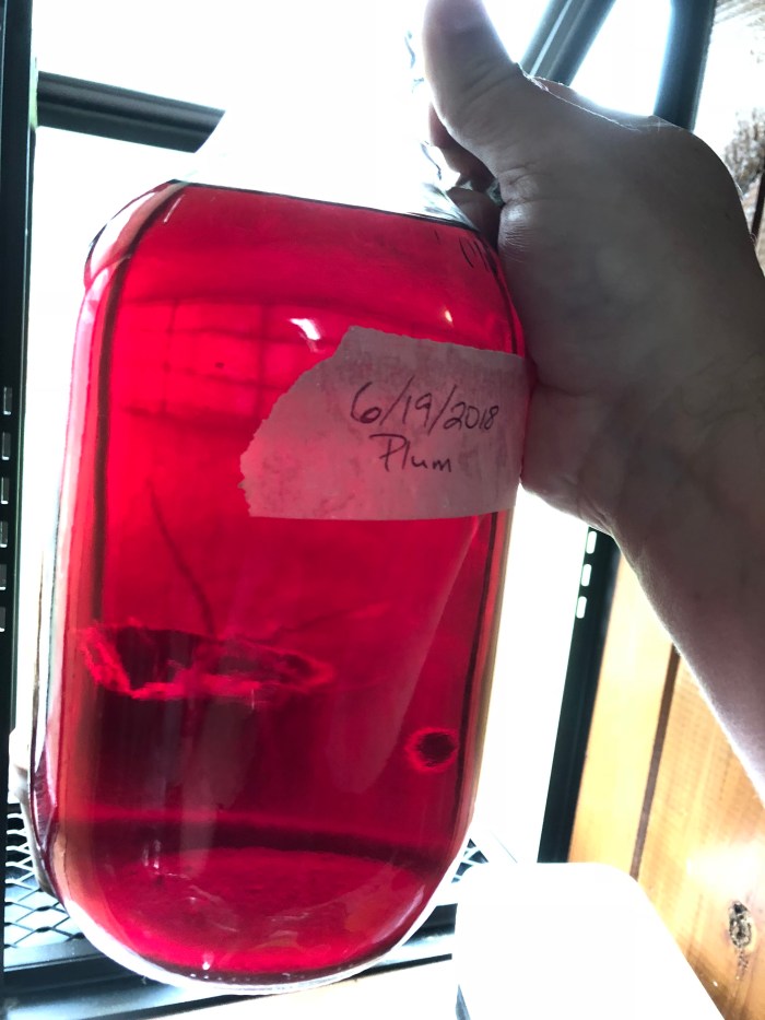 Chickasaw Plum Wine.jpg